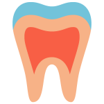 periodontia